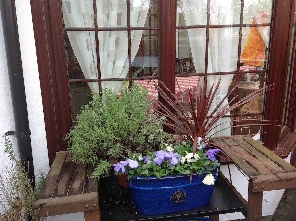 The Laurels Bed And Breakfast Кардифф Экстерьер фото